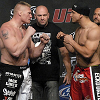 brock lesnar