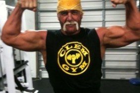 "Hollywood" Hulk Hogan