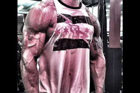 The Rock