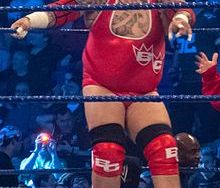 Brodus Clay