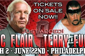 Ric Flair