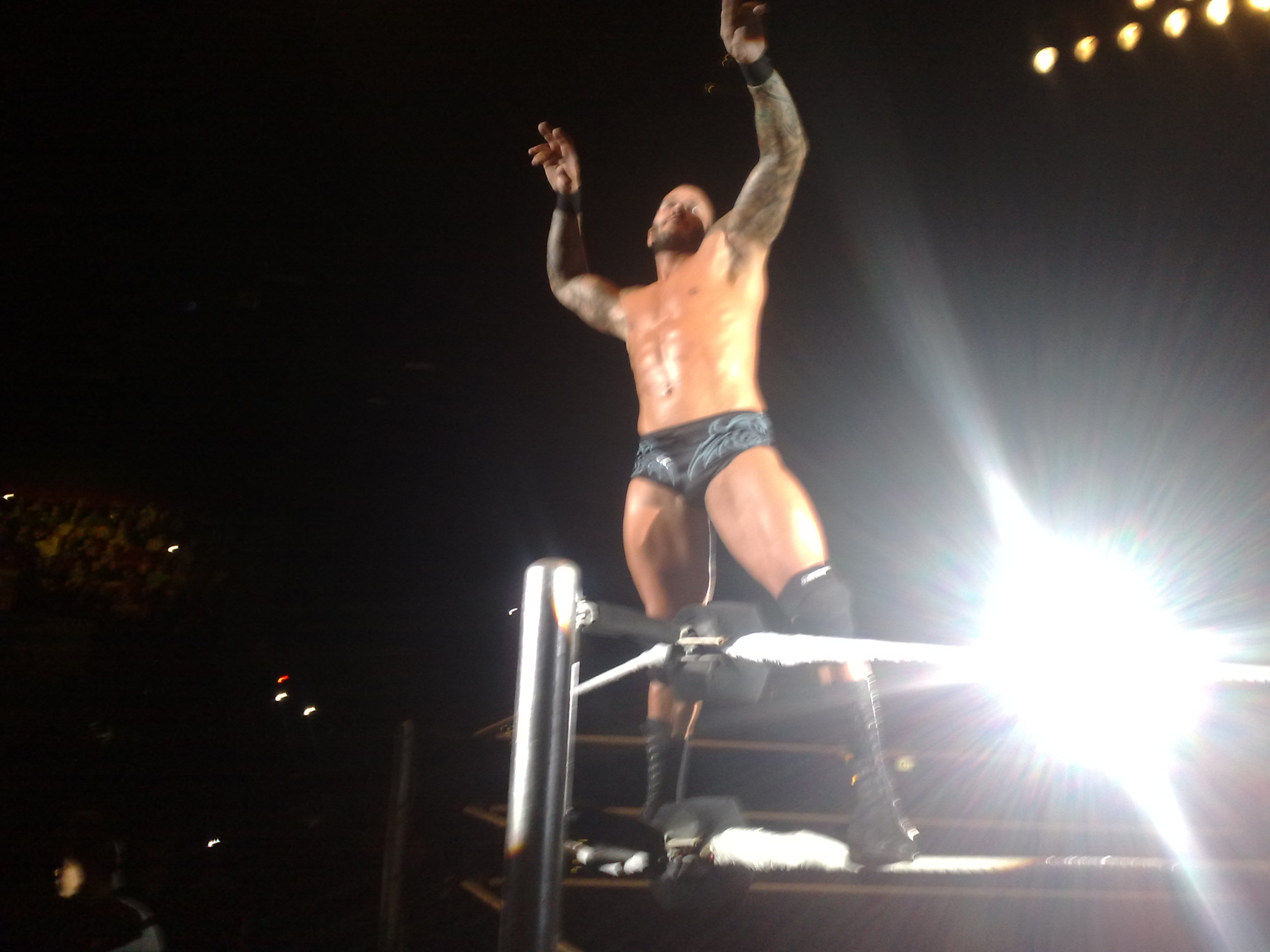Randy Orton