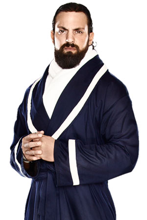 Damien Sandow