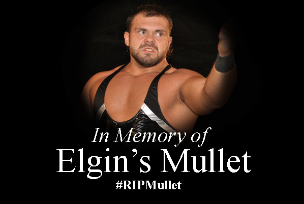 Elgin's Mullet Elgin's Mullet