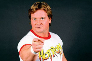 hulk hogan