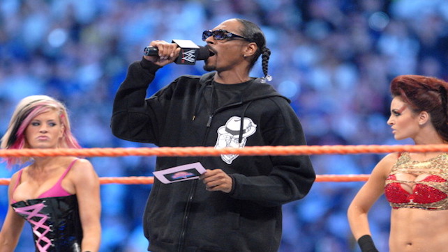 wwe hall of fame