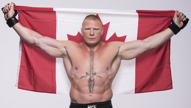 brock lesnar