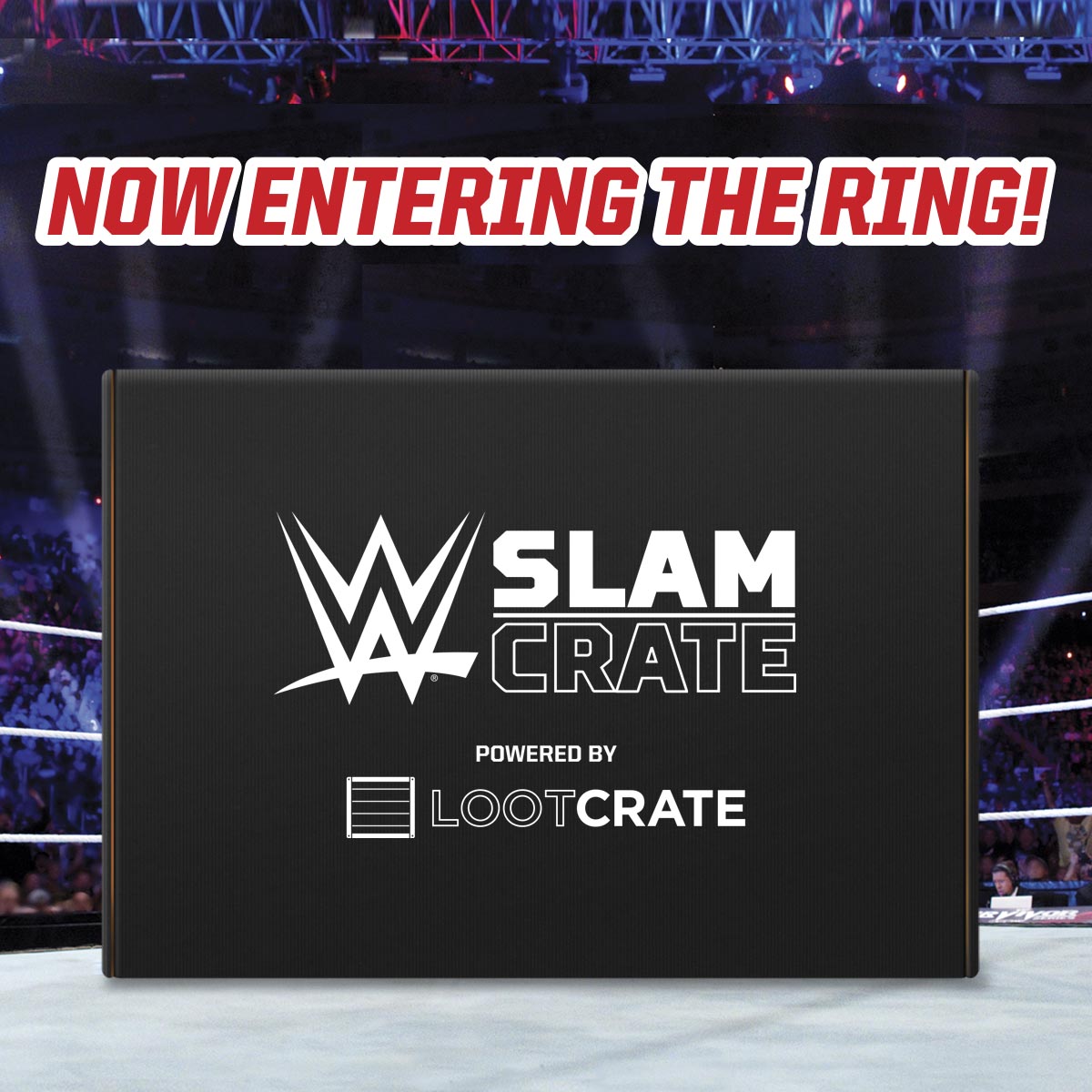 1200x1200_WWE_EnteringRing-A