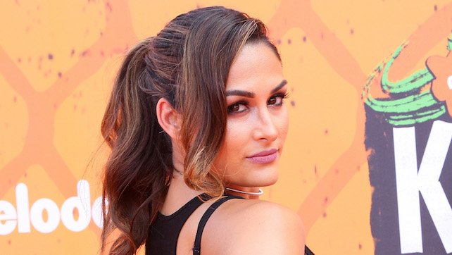 5 Things You Didn’t Know About Nikki Bella 5 Things You Didn’t Know About Nikki Bella