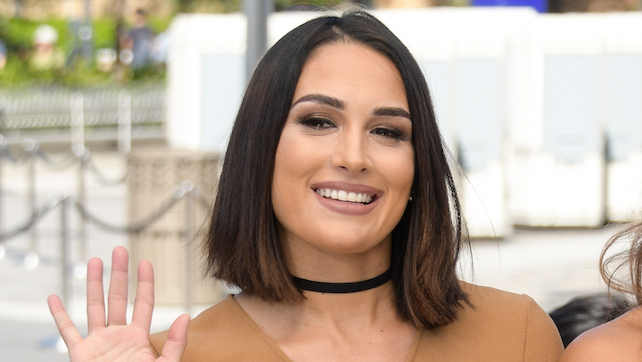 Brie Bella Reportedly Relieved At The End Of Nikki Bella & John Cena’s Relationship Brie Bella Reportedly Relieved At The End Of Nikki Bella & John Cena’s Relationship
