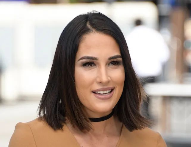 Breakfast In Bed With Brie Bella (PHOTO); Kairi Sane’s Exotic New Finisher Breakfast In Bed With Brie Bella (PHOTO); Kairi Sane’s Exotic New Finisher