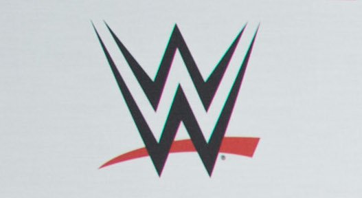 WWE Co-President Michelle Wilson Comments On WWE Doing Business In Different Cultures WWE Co-President Michelle Wilson Comments On WWE Doing Business In Different Cultures