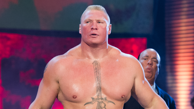 survivor series survivor series