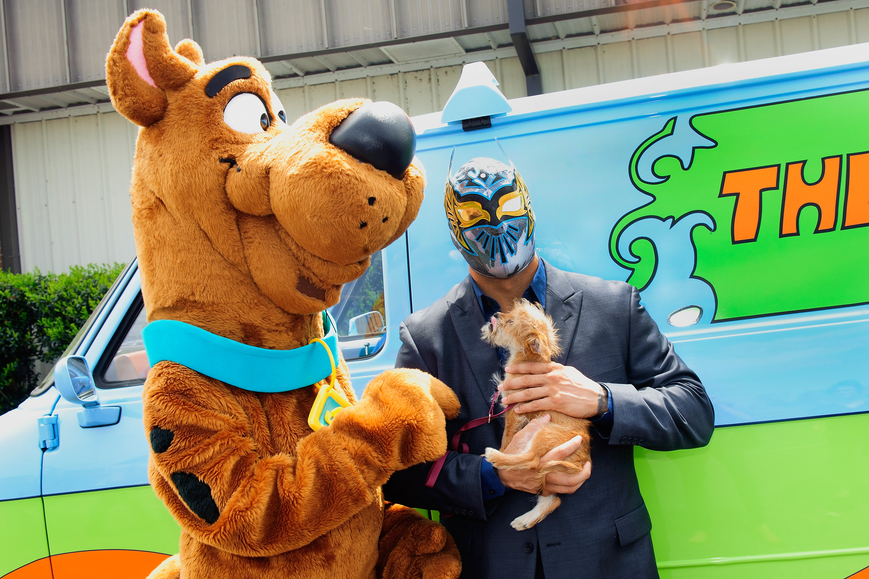 KENNER, LA - APRIL 07: Scooby-Doo and WWE wrestler Sin Cara pose in front of The Mystery Machine with one of Jeffreson Parish SPCA's adoptable puppies during Scooby Doo and Sina Cara's special appearance at St. Elizabeth Ann Seton School on April 7, 2014 in Kenner, Louisiana. (Photo by Erika Goldring/Getty Images) KENNER, LA - APRIL 07: Scooby-Doo and WWE wrestler Sin Cara pose in front of The Mystery Machine with one of Jeffreson Parish SPCA's adoptable puppies during Scooby Doo and Sina Cara's special appearance at St. Elizabeth Ann Seton School on April 7, 2014 in Kenner, Louisiana. (Photo by Erika Goldring/Getty Images)
