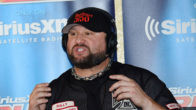 bully ray bully ray