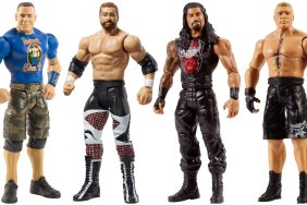 WWE Action figures