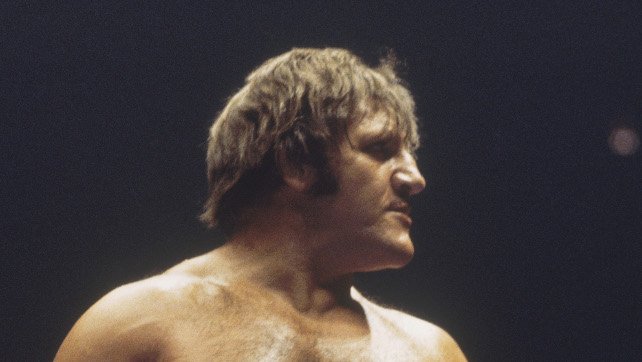 bruno sammartino