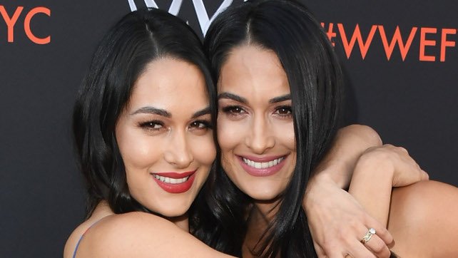 5 Things You Didn’t Know About Nikki Bella 5 Things You Didn’t Know About Nikki Bella