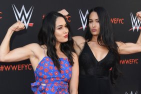 The Bella Twins