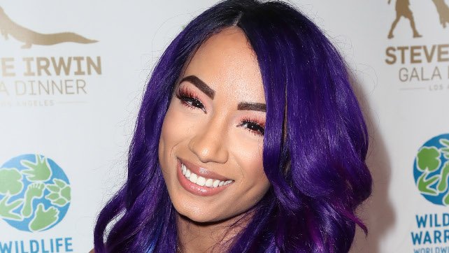 5 Dream Opponents for Madison Rayne in WWE