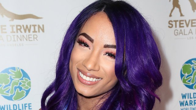 Sasha Banks Gets Her Own Collection On The WWE Network; What Are The Matches?