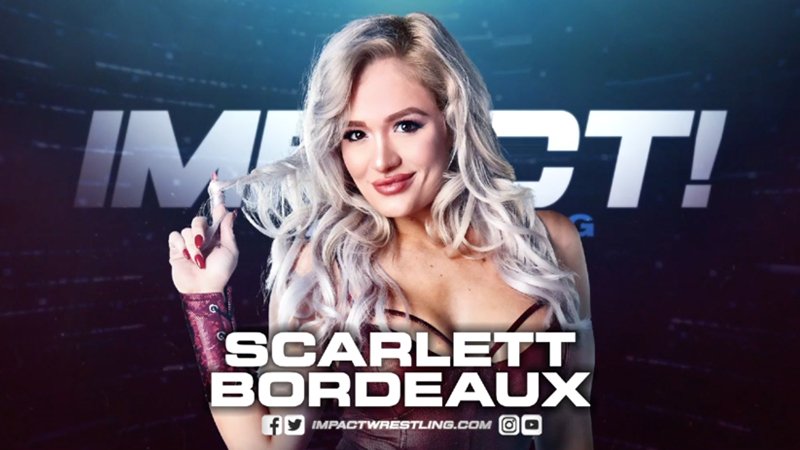 scarlett bordeaux scarlett bordeaux