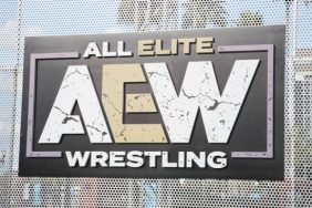 All Elite Wrestling - AEW Being The Elite
