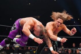 Joey Janela vs. Shawn Spears