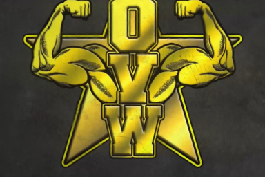 OVW Logo