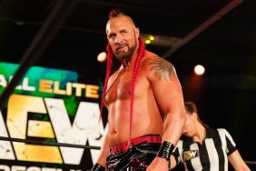Lance Archer