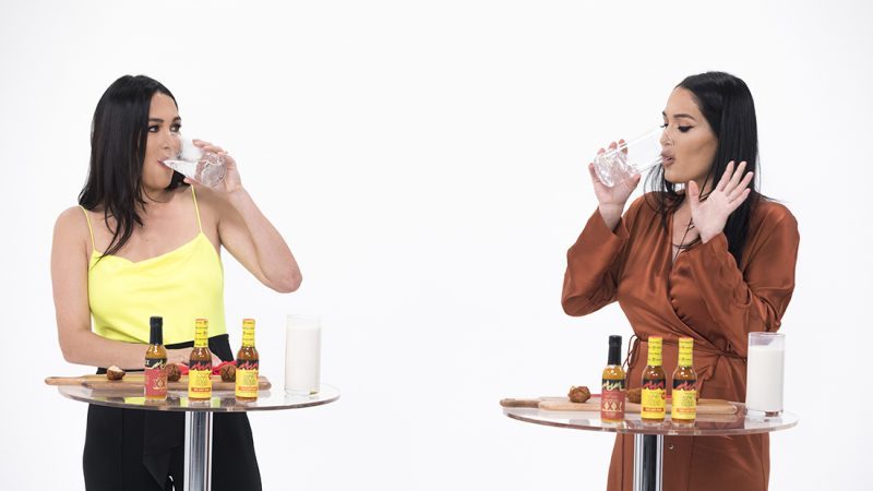 bella twins