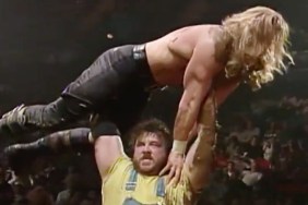 henry godwinn triple h