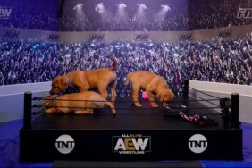 AEW Puppy Battle Royale
