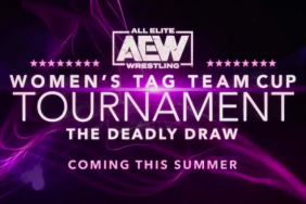 AEW Women's Tag Team Deadly Draw