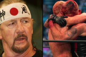 Terry Funk