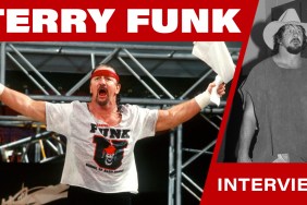 terry funk