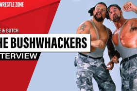 the bushwhackers