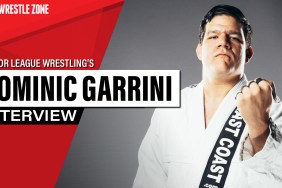 dominic garrini interview