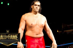 the great khali wwe 1