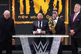 WWE Hall of Fame NWO
