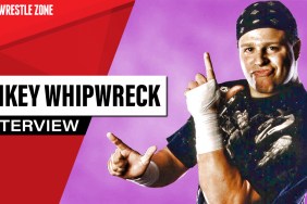 mikey whipwreck