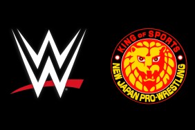 wwe and new japan