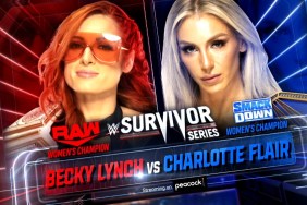 Becky Lynch Charlotte Flair WWE Survivor Series
