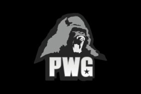 PWG logo 2021