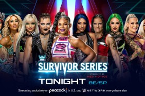 WWE Survivor Series Team SmackDown Team RAW