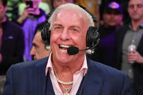 Ric Flair