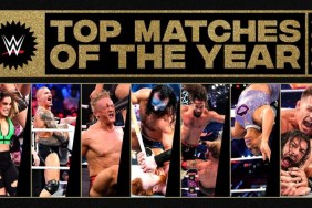 WWE Top Matches of the Year