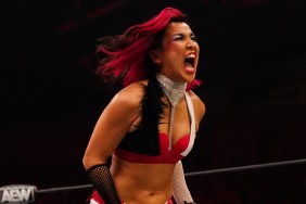 hikaru shida
