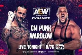 AEW Dynamite CM Punk Wardlow