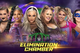 wwe elimination chamber women's match